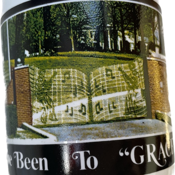 Elvis I’ve Been To Graceland Mug - Picture 6 of 12